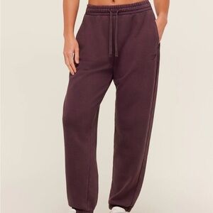 Brown Gym Shark Sweatpants